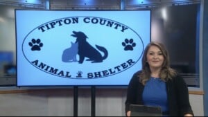 Pet Of The Week Sienna
