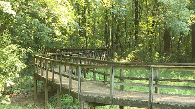 Research forum held at Cypress Grove Nature Park