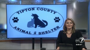 Pet Of The Week: Ice