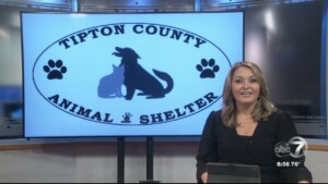 Pet Of The Week: Pumpkin