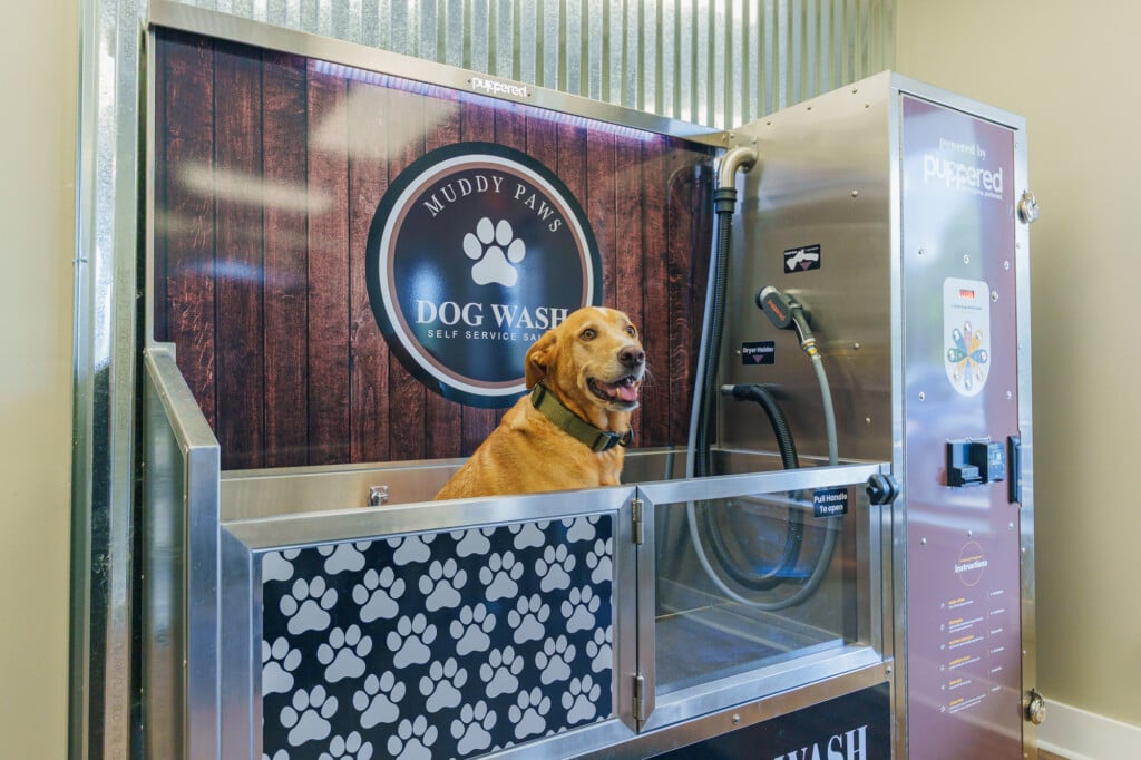 dog wash