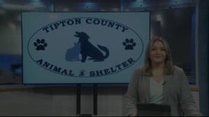 Pet Of The Week Sprout