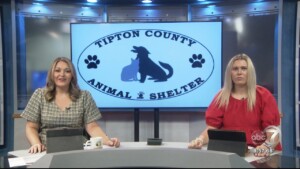 Pet Of The Week Sienna