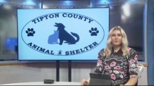 Pet Of The Week: Millie