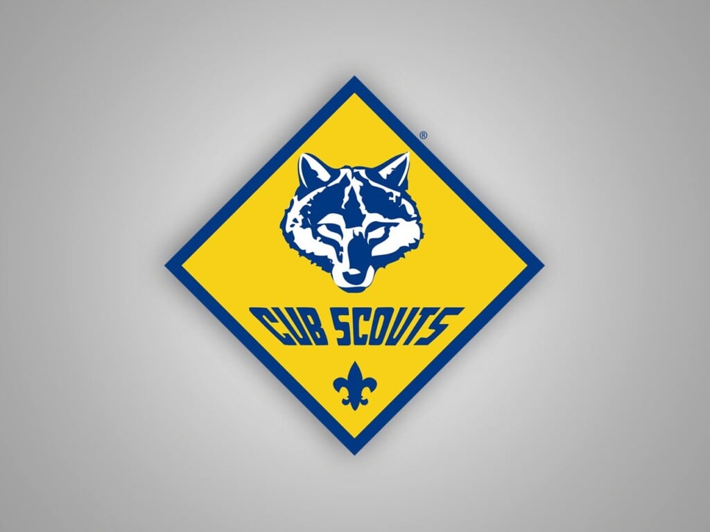 Cub Scouts