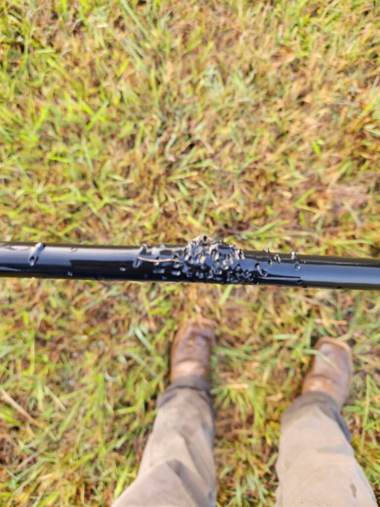 Shotgun