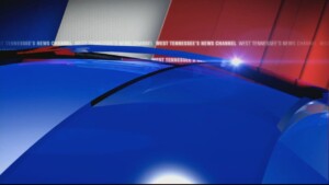 Midday Guest: Fall In The Gardens