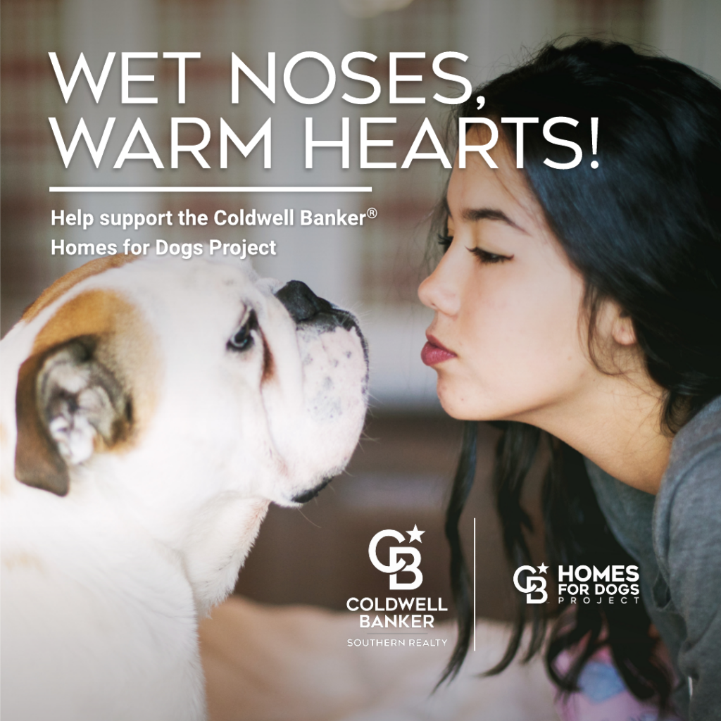 Homes for Dogs