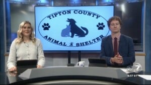 Pet Of The Week Samwell