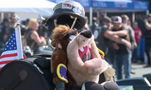 Screen Shot 2025 10 18 At 45736 Pm