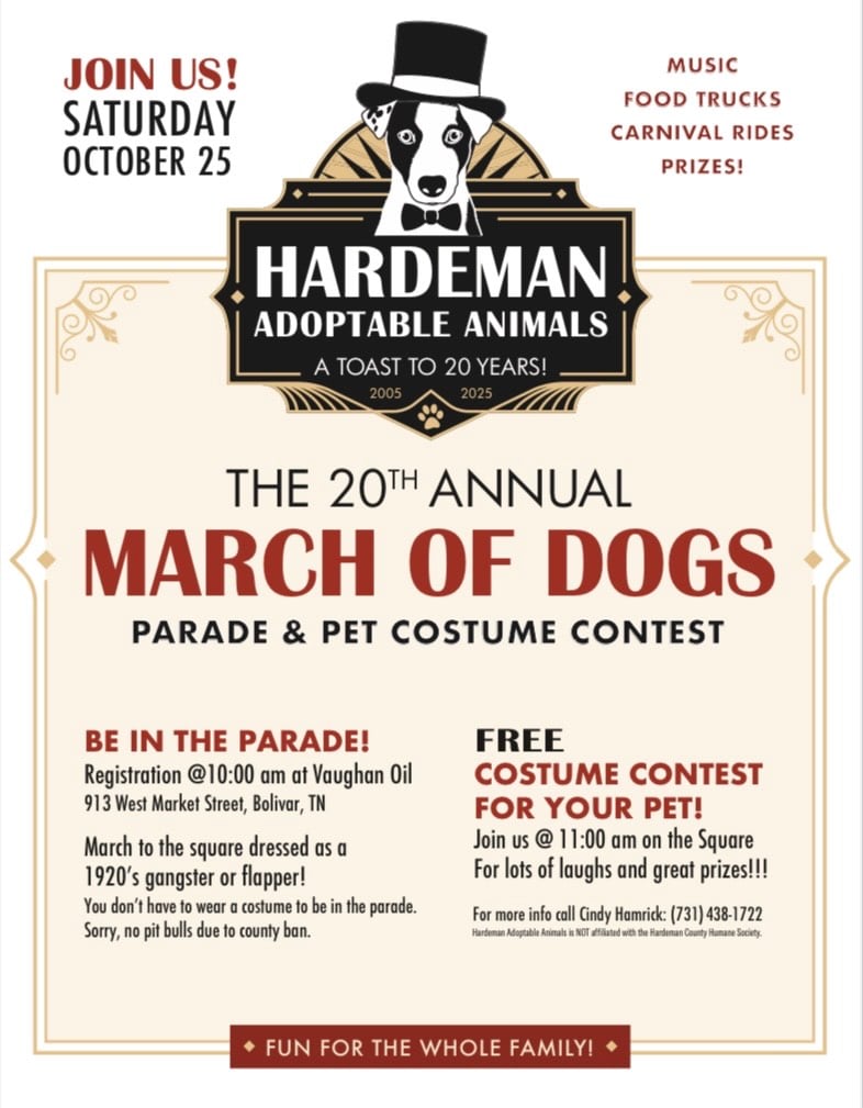 costume contest