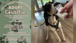 Pet Of The Week Charlie