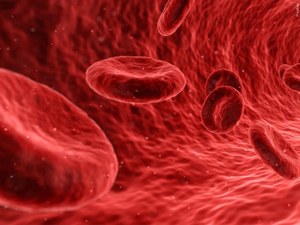 plasma