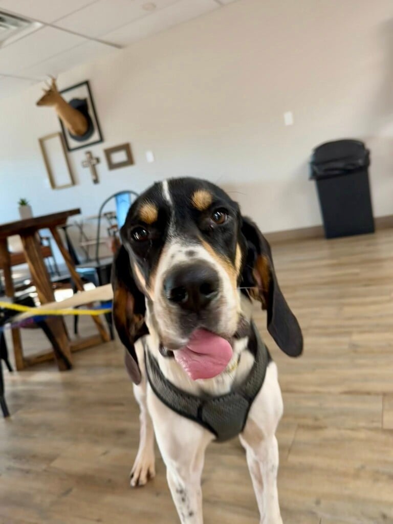 Charlie7
