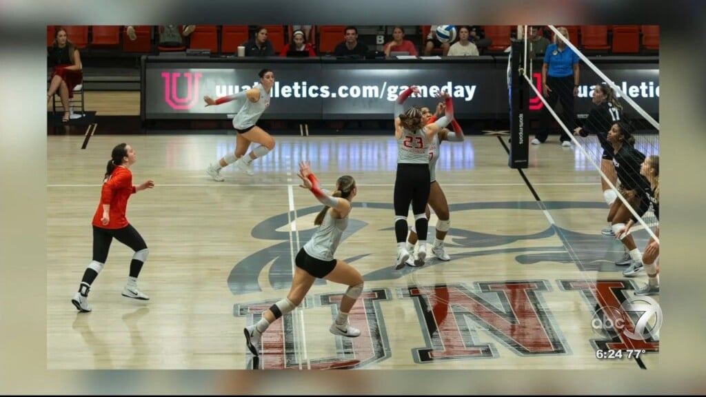 Union Volleyball Falls To Lee University