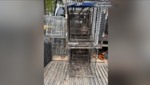 Screen Shot 2025 10 30 At 11141 Pm