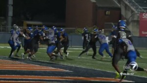 Westview Defeats Hamilton