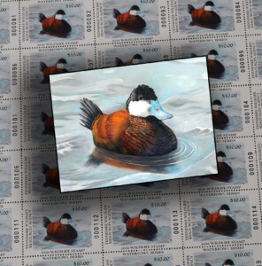 2025 Duck Stamp Comp