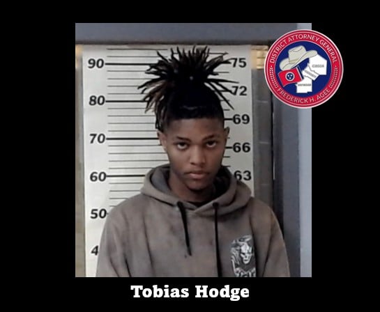 Tobias Hodge Without Guilty