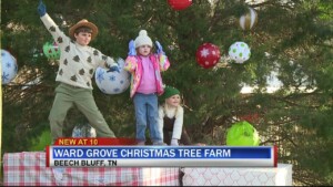 Information On Ward’s Christmas Tree Farm