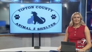 Pet Of The Week Shug