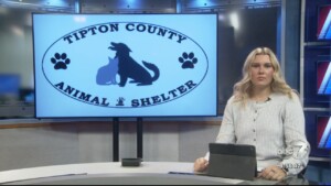 Pet Of The Week Jake