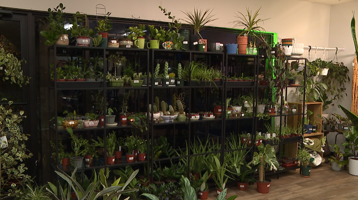 The Plant Shop