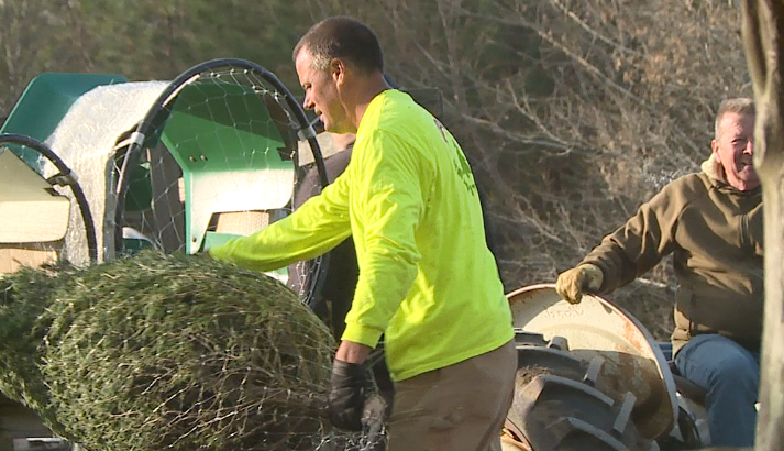 Screen Shot 2025 11 28 At 94047 Pm