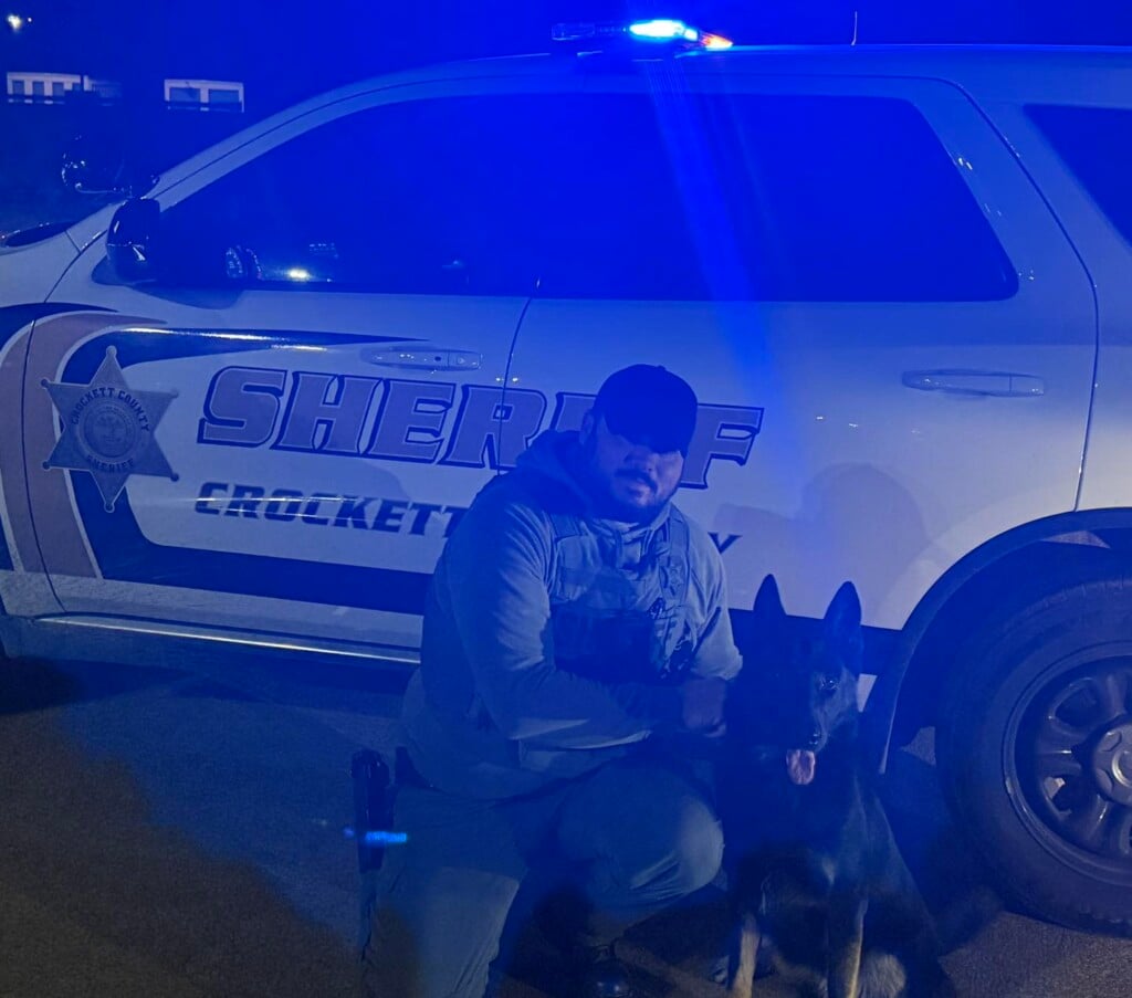 Crockett Co Traffic Stop