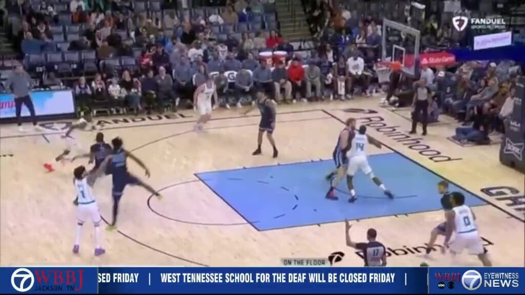 Grizzlies Fall To Hornets