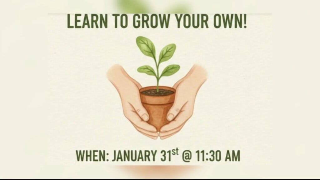 Groovy Roots Indoor Farmers Market