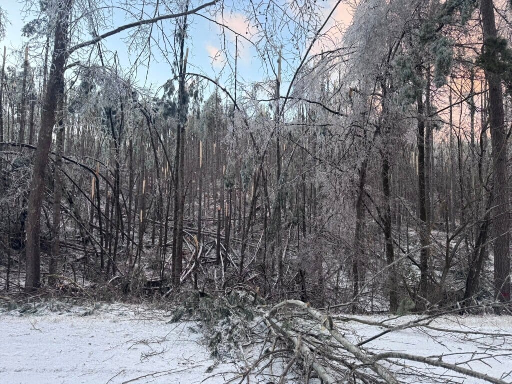 622601472 1343424864494022 7375599165747964858 N