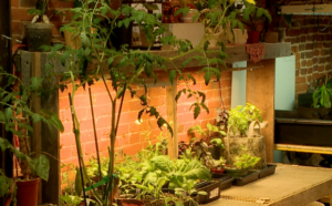 Screen Shot 2026 01 16 At 92856 Pm