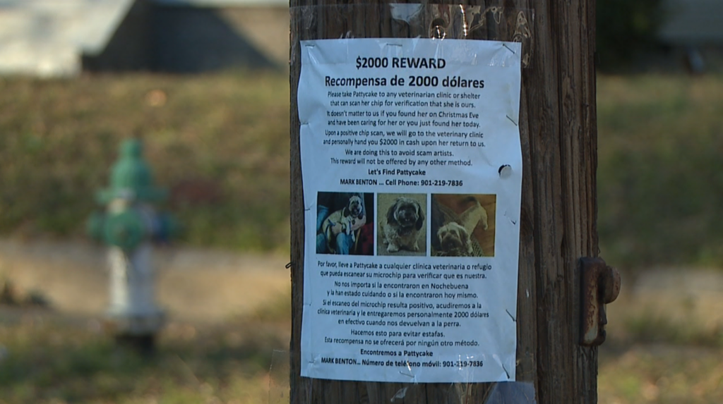 Screenshot 2026 01 12 At 90257pm