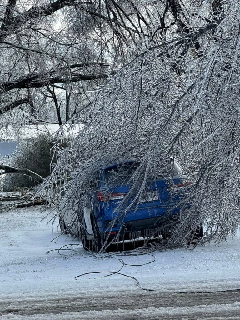 622377086 26472636042339661 4071076763700627535 N