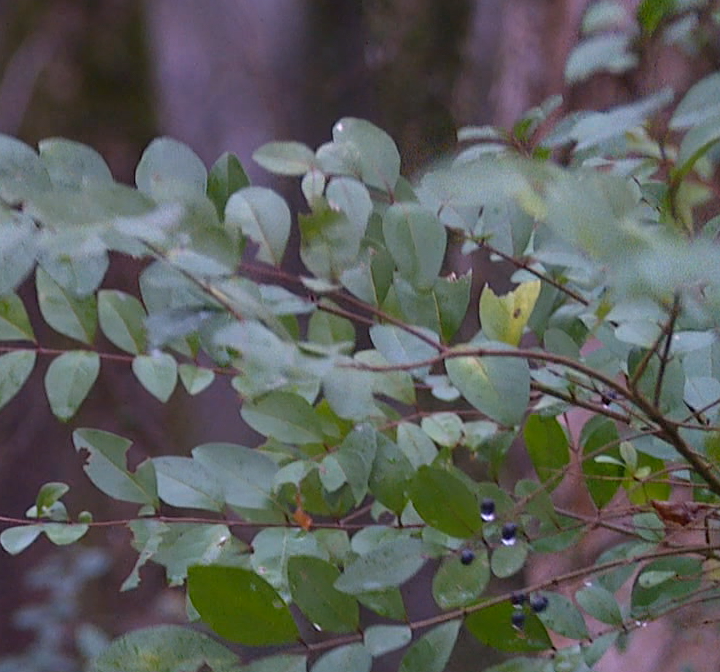 Screen Shot 2026 01 10 At 122106 Pm