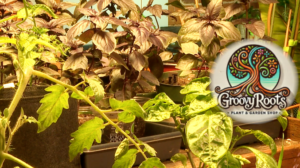 Screen Shot 2026 01 16 At 92806 Pm