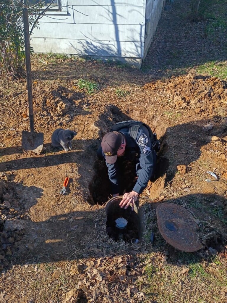 616343780 1287840363378714 7846030972572534914 N