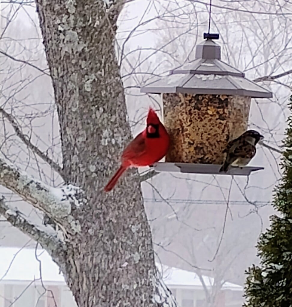 47c9f0a2 D463 459e 9f58 84348dd765a01