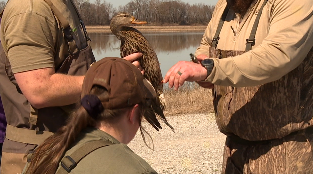 Screenshot 2026 02 27 At 103930pm