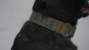 Screenshot 2026 02 12 At 91424pm