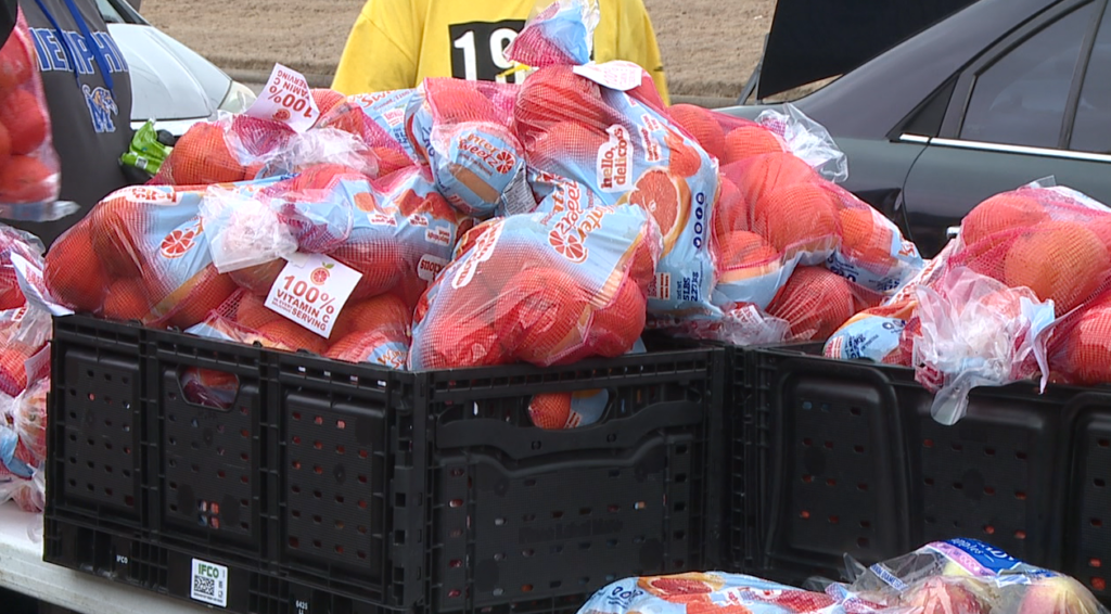 Screenshot 2026 02 19 At 111643pm