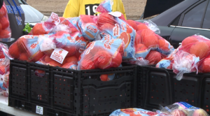 Screenshot 2026 02 19 At 111643pm