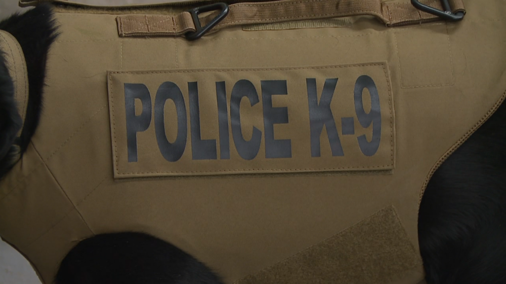 Screenshot 2026 02 12 At 91415pm