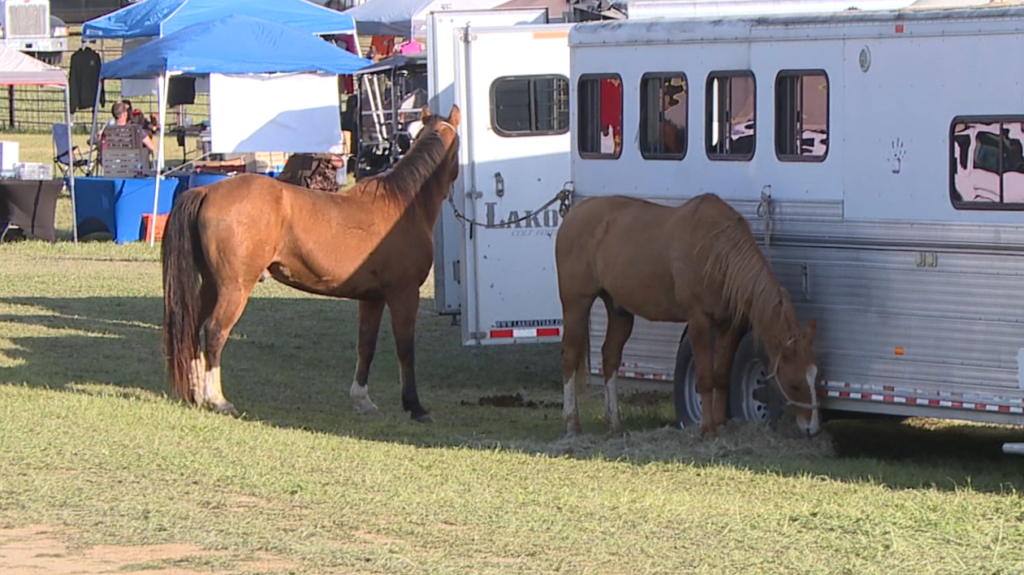 Screenshot 2026 03 20 At 105148pm