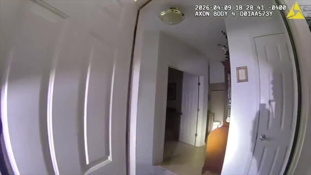 26525a20 B161 4647 B553 Db4d6943548b