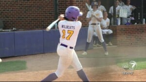 Lady Cats Softball Lose To William Baptist