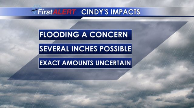 Cindy's Impacts