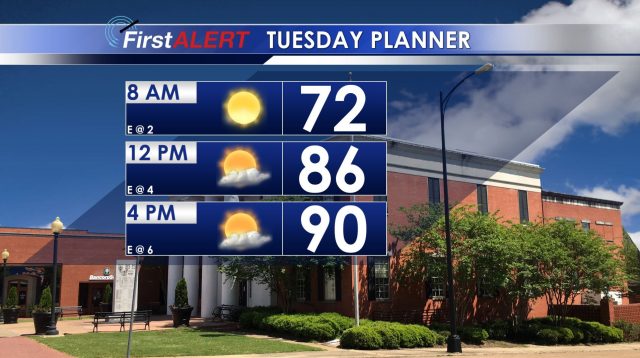Tuesday Planner