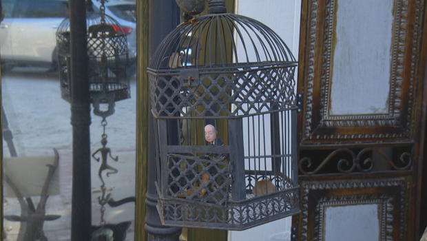 legacy-alfred-hitchock-in-a-cage-at-tippi-hedren-home-620.jpg 